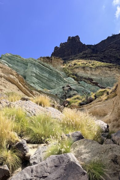 Los Azulejos de Veneguera